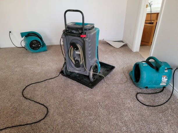 Best Mold removal after water damage  in Laughlin, NV