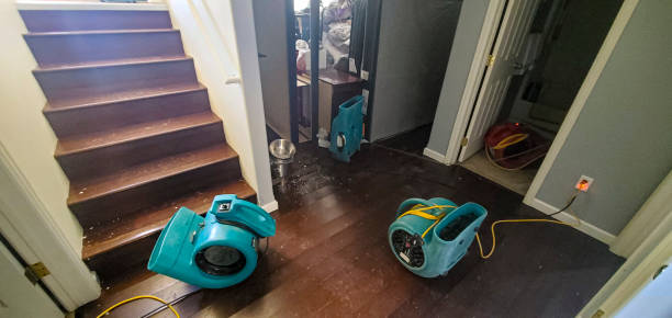 Professional Water damage restoration in Laughlin, NV