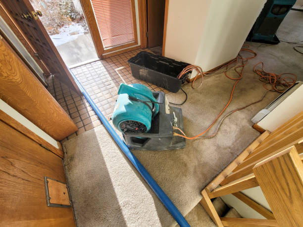 Best Water damage restoration specialists  in Laughlin, NV