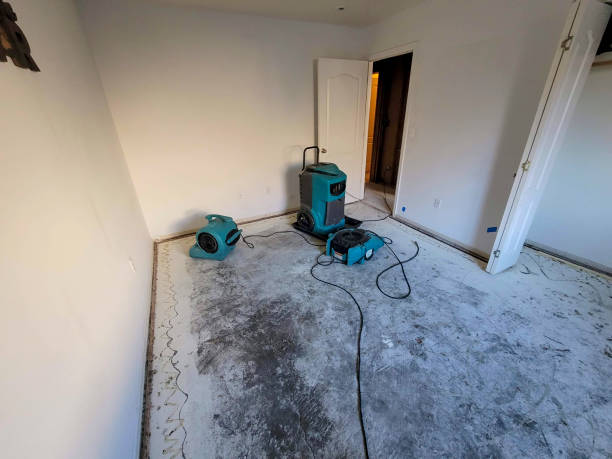 Best Water damage contractors near me  in Laughlin, NV
