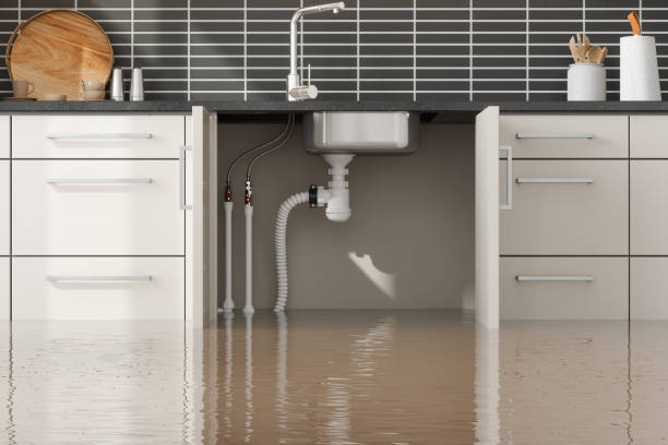  Laughlin, NV Water damage restoration Pros